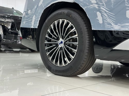 New Denza D9 DM-I 2025