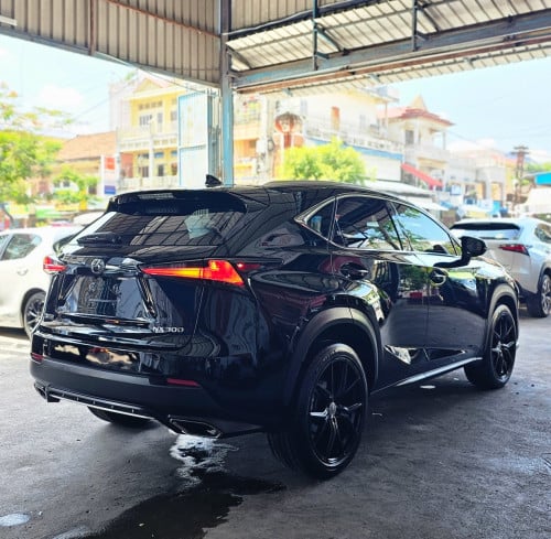 Nx300 2019 F sport ប៊ូតុង4ប៉ុង1 ក្នុងឆឺរី