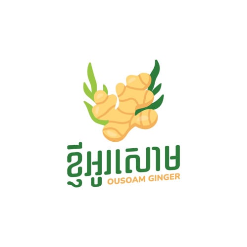 Sales and Operations Executive