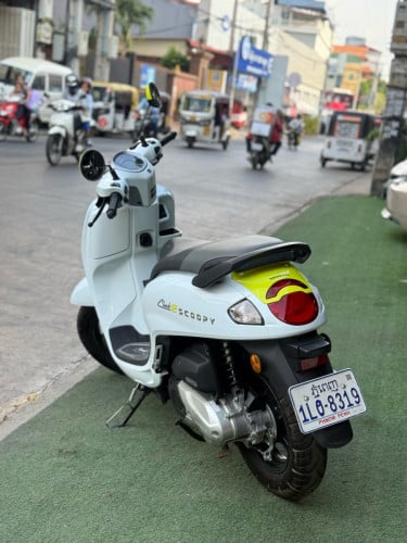 Scoopy 2025 6000kmសុីន