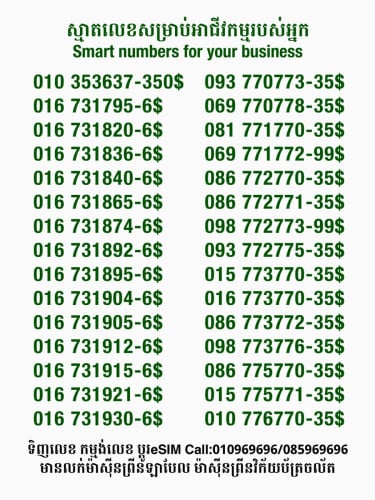 Smart លេខសម្រាប់អាជីវកម្ម