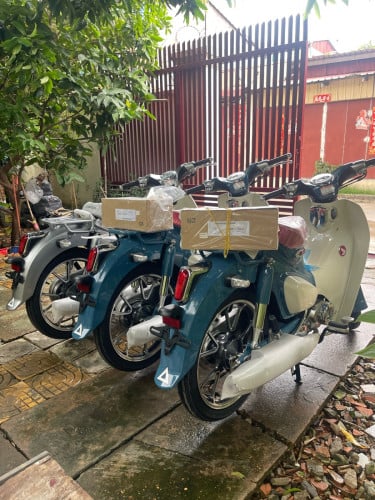 Super cub for sale