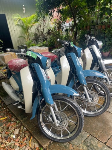 Super cub for sale