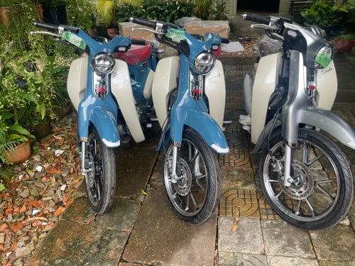 Super cub for sale