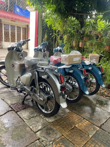 Super cub for sale