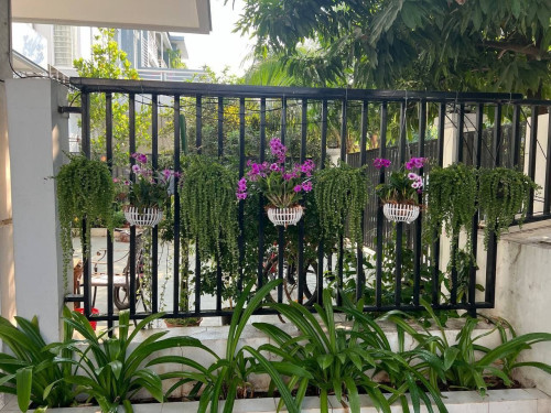 Villa for rent 别墅出租 / Rental fee租金: 1,200$/month (Can negotiation)