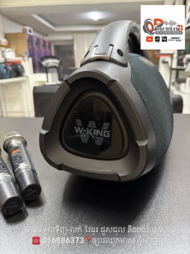 W-King D20