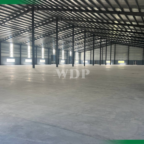Warehouse in spwcial economic zone for rent