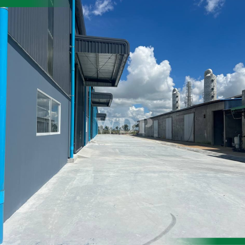 Warehouse in spwcial economic zone for rent