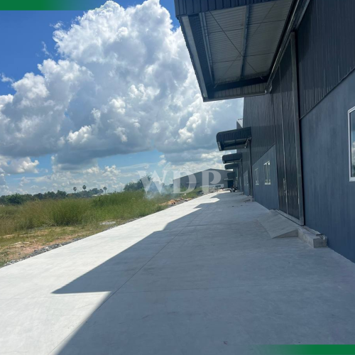 Warehouse in spwcial economic zone for rent
