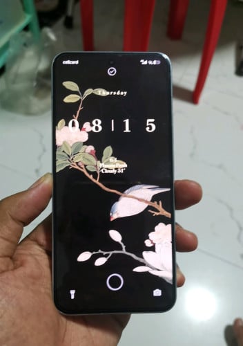 Xiaomi 13 CH (12G+256G)