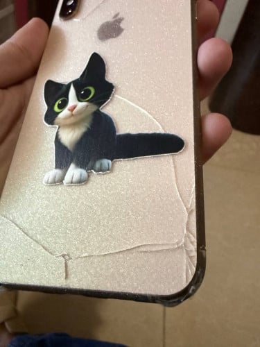 XS max 256G អេក្រង់ដូរzinបែកខ្នង