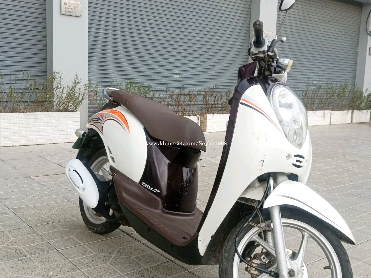 Honda Scoopy