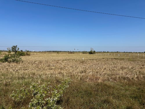 ដីលក់បន្ទាន់