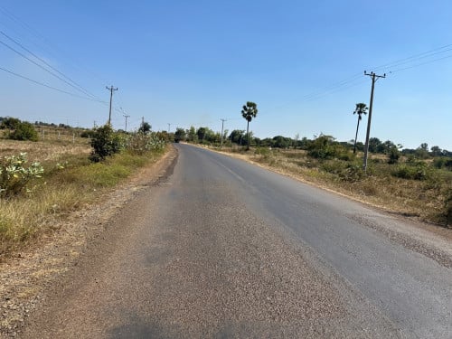 ដីលក់បន្ទាន់