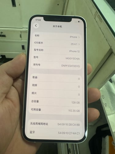 苹果12