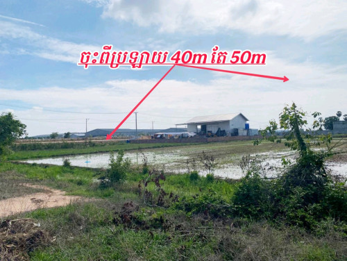 ដីលក់បន្ទាន់នៅលើផ្លូវរដ្ឋ16ម៉ែត្រចុះពីផ្លូវប្រឡាយ40mតែ50m