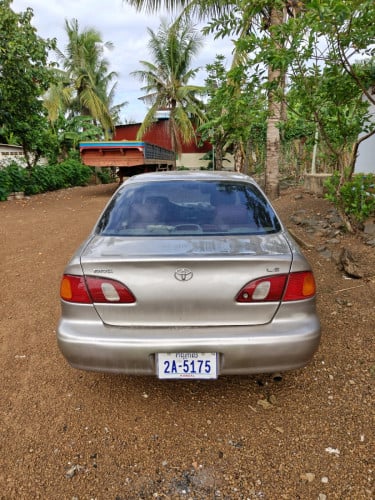 ឆ្នាំ1998 តម្លៃ3800$