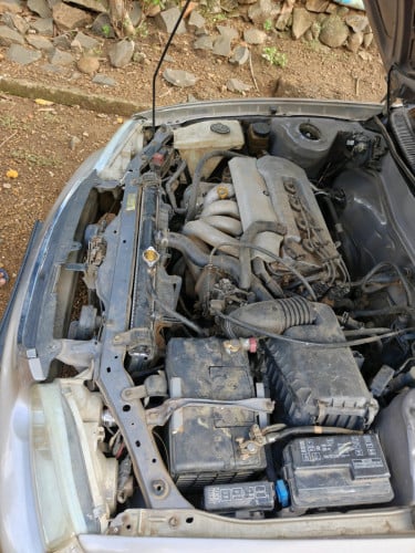 ឆ្នាំ1998 តម្លៃ3800$