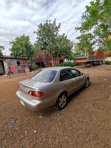 ឆ្នាំ1998 តម្លៃ3800$