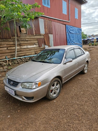 ឆ្នាំ1998 តម្លៃ3800$