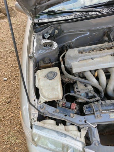 ឆ្នាំ1998 តម្លៃ3800$