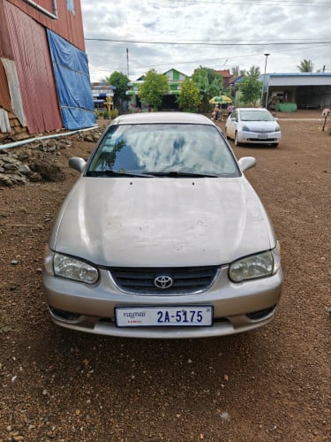 ឆ្នាំ1998 តម្លៃ3800$