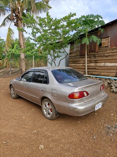 ឆ្នាំ1998 តម្លៃ3800$
