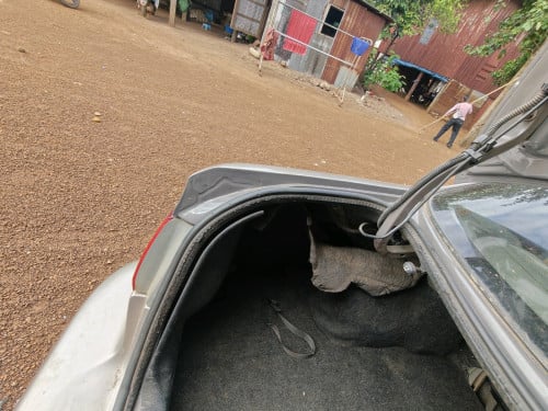 ឆ្នាំ1998 តម្លៃ3800$
