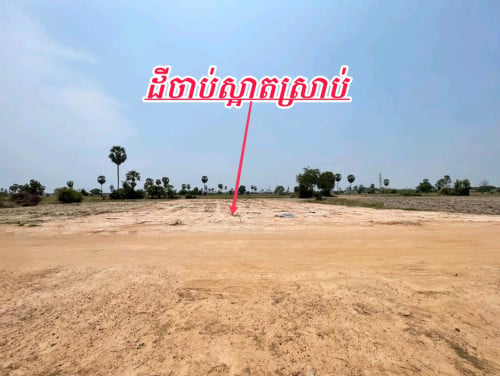 ដីលក់ជាប់ផ្លូវ40m ជិតតំបន់សេដ្ធកិច្ចពិសេស