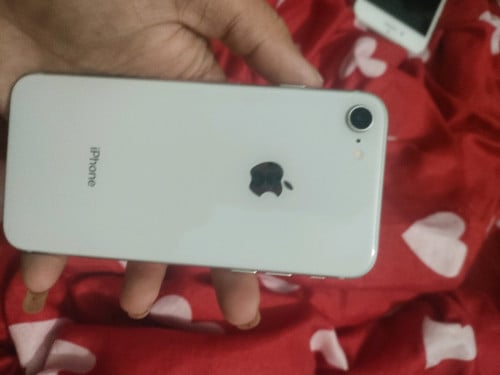 មាន iphone 8g