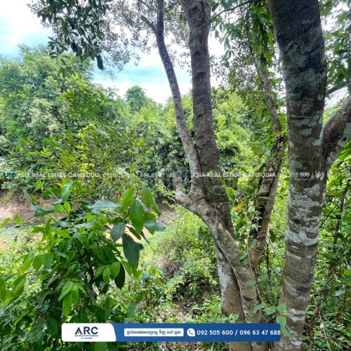 #ដីសម្រាប់លក់ / Land for sell at Kampot