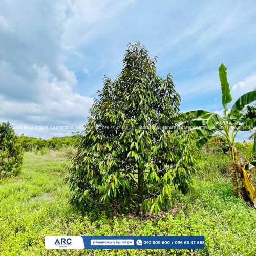 #ដីសម្រាប់លក់ / Land for sell at Kampot