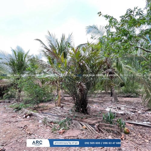 ដីសម្រាប់លក់ / Land for sell at Kampot