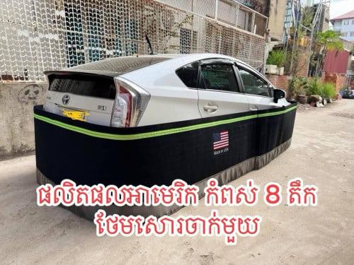 រនាំងការពារសត្វកណ្តុរ❤️អាមេរិក🇺🇸🇺🇸