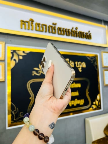 13 Pro (256g) អេក្រង់សុីន អត់មានស្កេន តម្លៃធូរៗ