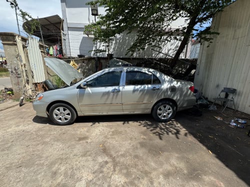 Corolla 03