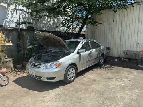 Corolla 03