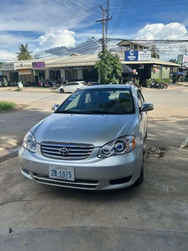Corolla 03
