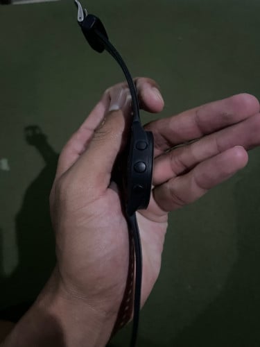 Gamin Forerunner 165