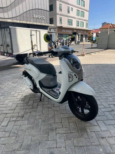 Honda scoopy 2025