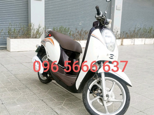 Honda Scoopy