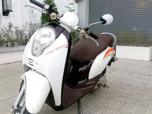 Honda Scoopy