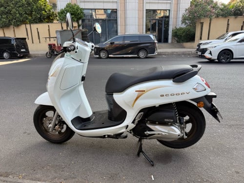 Honda scooyi