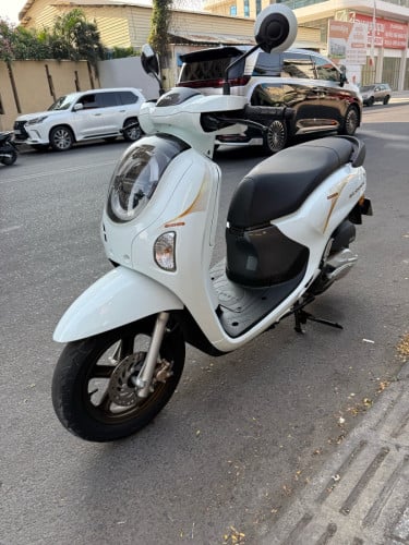 Honda scooyi