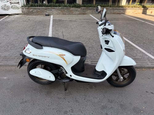 Honda scooyi