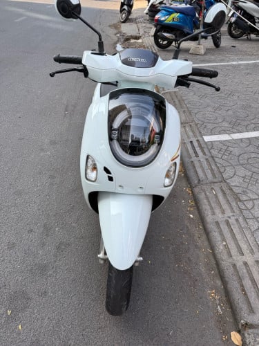 Honda scooyi