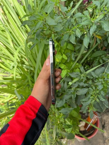 iPhone 13 pm 128g LLA សានុំZin ស្អាតដូចរូបលក់390$Tell: 0963621262 telegram ភ្នំពេញ