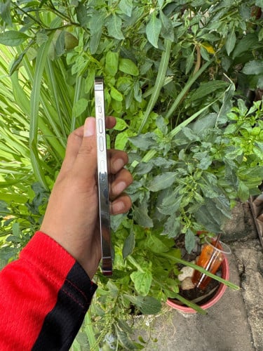 iPhone 13 pm 128g LLA សានុំZin ស្អាតដូចរូបលក់390$Tell: 0963621262 telegram ភ្នំពេញ