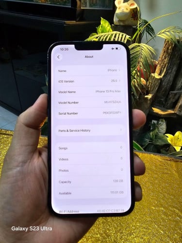 iPhone 13 Pro Max